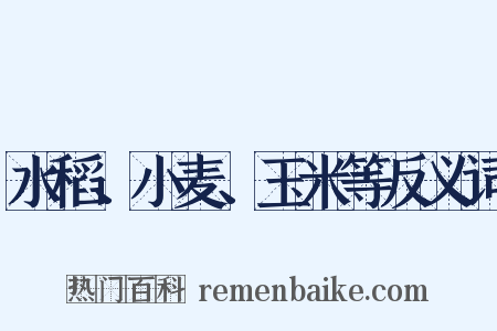 水稻、小麦、玉米等反义词是什么意思的图片